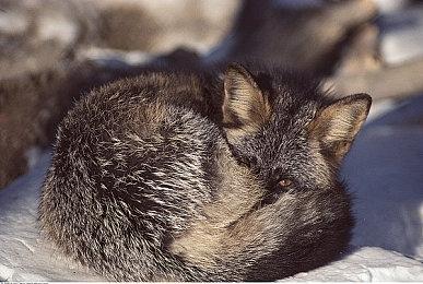 E3 2021：《星空》预告片暗含《上古卷轴6》彩蛋？